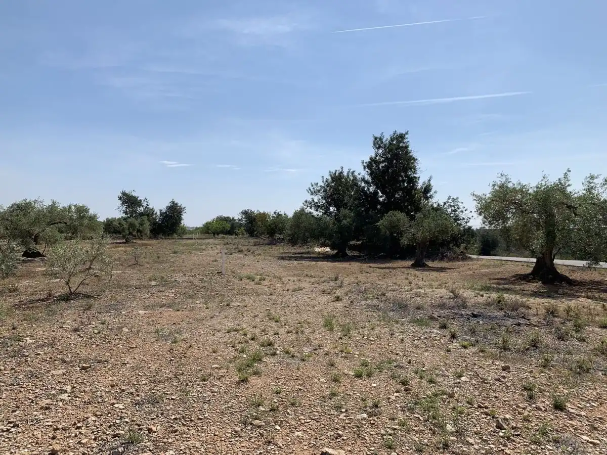 Country homes for sale in L'Ampolla