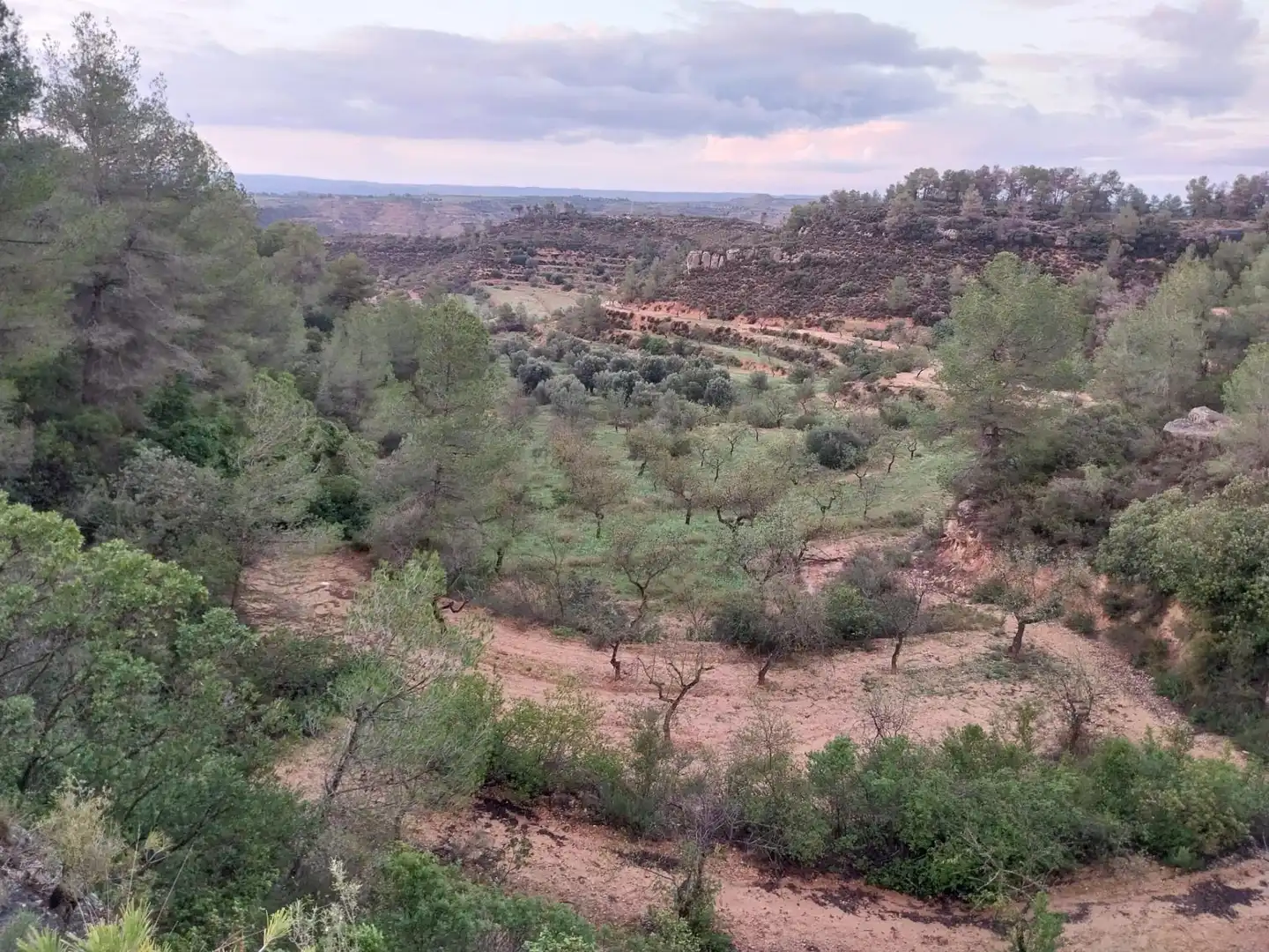 Terrain rustique à vendre à Vinebre, imagen 5