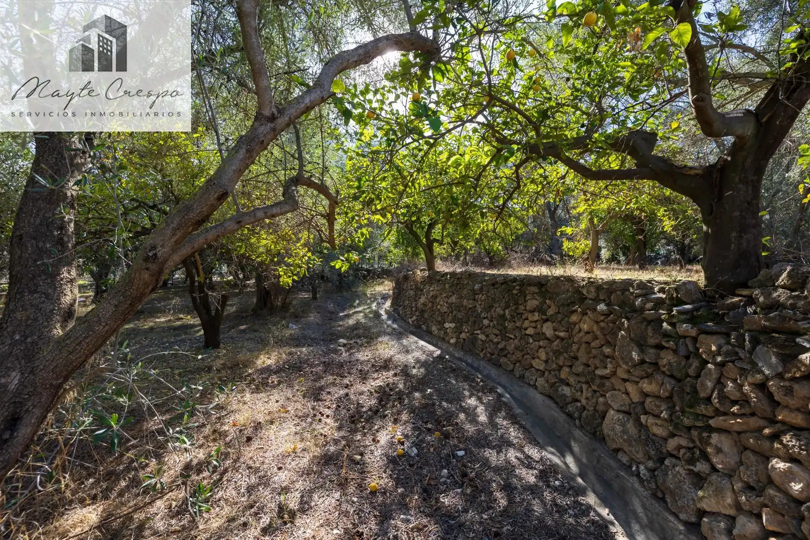 Terreno rustico in vendita a Lecrín, imagen 9