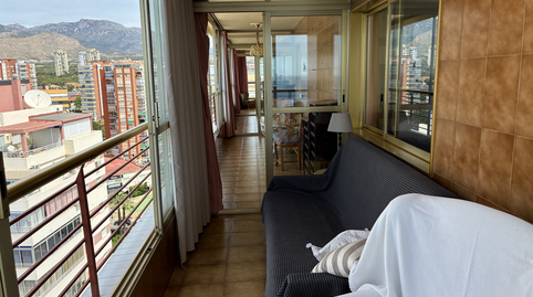 Foto 2 de Apartamento de alquiler en Armada Española, Playa Poniente, Benidorm