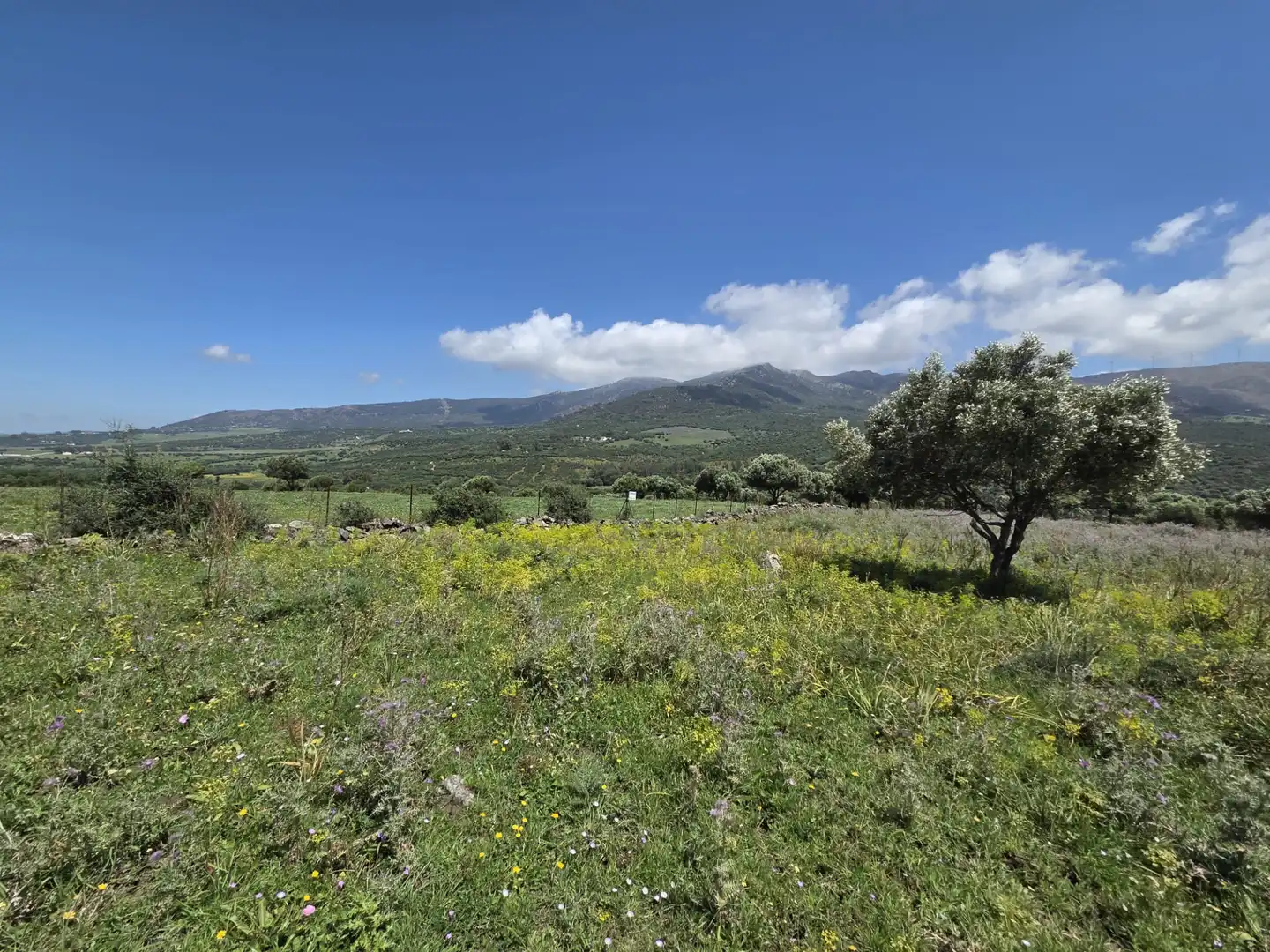 Terreny rústic en venda a Tarifa ciudad, imagen 4