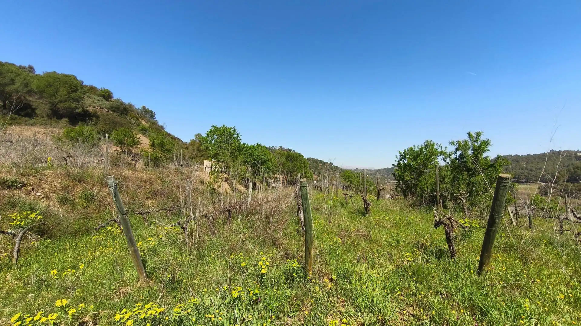Grundstücke zum Verkauf in El Molar (Tarragona)