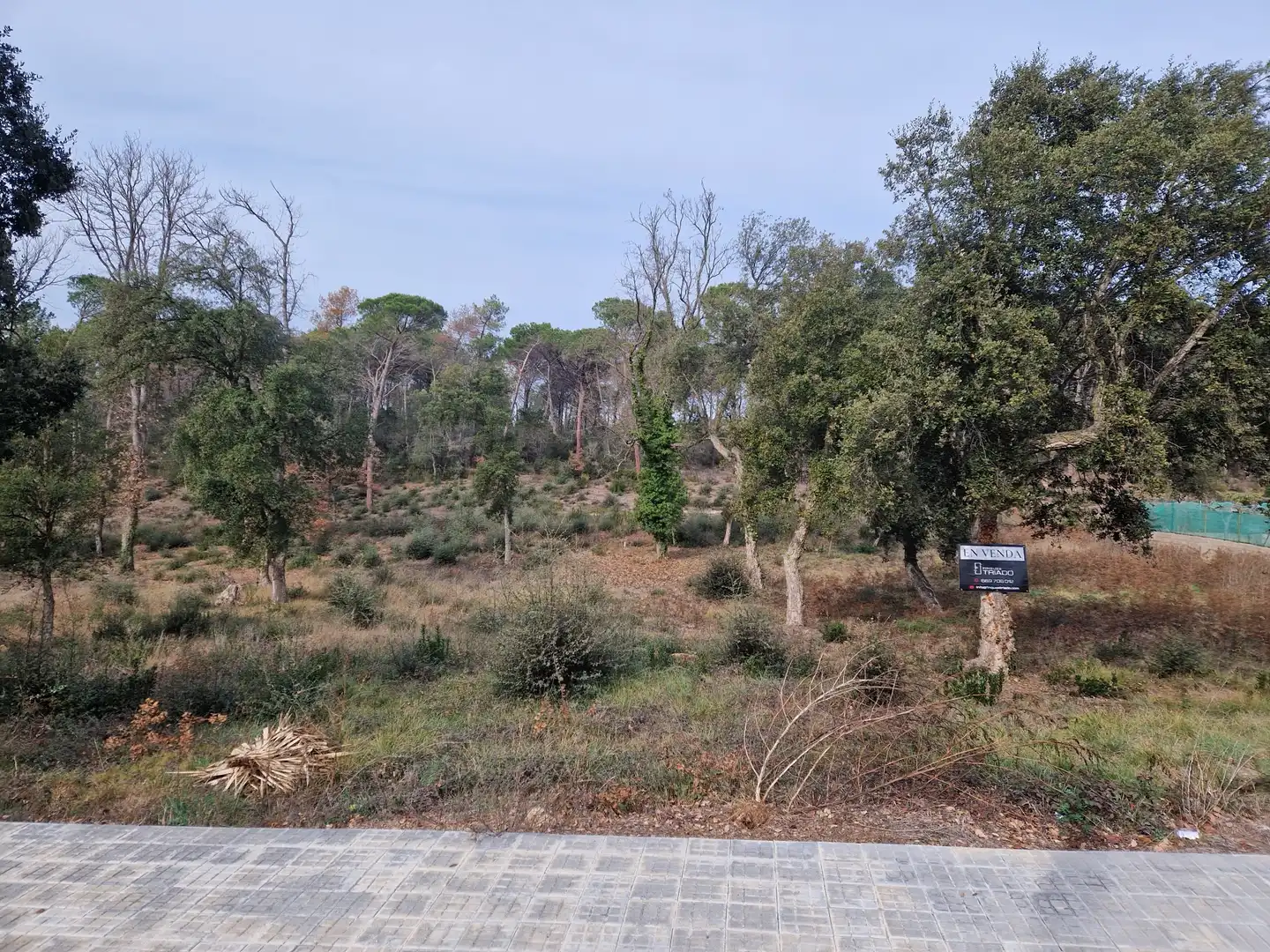 Residential land for sale in Avinguda Catalunya 47, imagen 5
