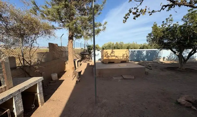 Vista exterior de Casa o xalet en venda en Níjar amb Jardí privat, Terrassa i Piscina