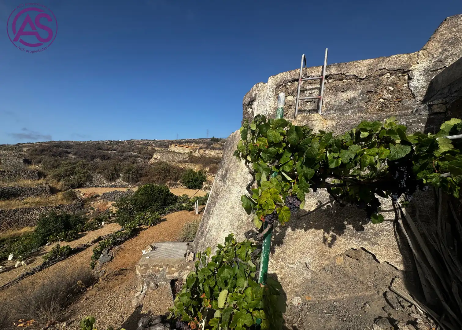Vista exterior de Terreno en venta en Fasnia