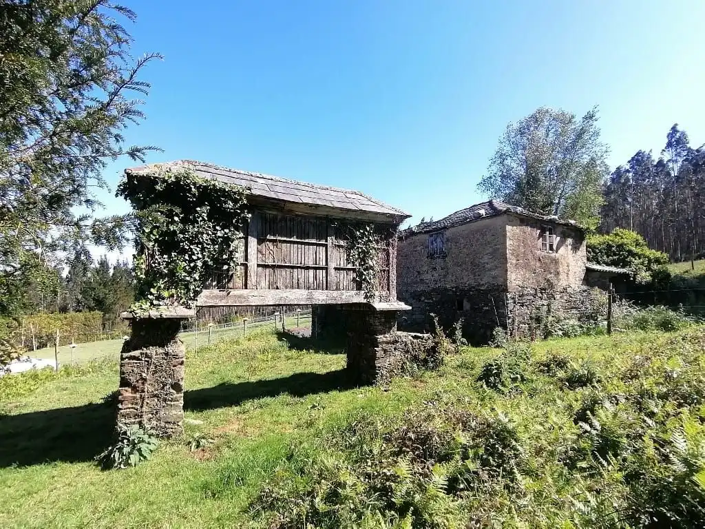 Vista exterior de Finca rústica en venta en Cerdido con Jardín privado