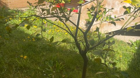 Foto 5 de Piso de alquiler en El Cristo, Oviedo