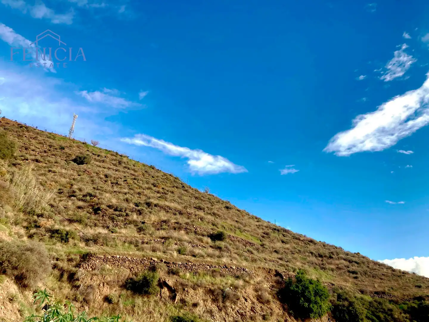 Terreny rústic en venda a Monte los Almendros - El Pargo - Costa Aguilera, imagen 4