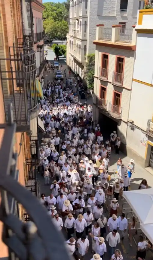 Apartamento de alquiler en Calle San Gregorio, 3, Alfalfa - Santa Cruz