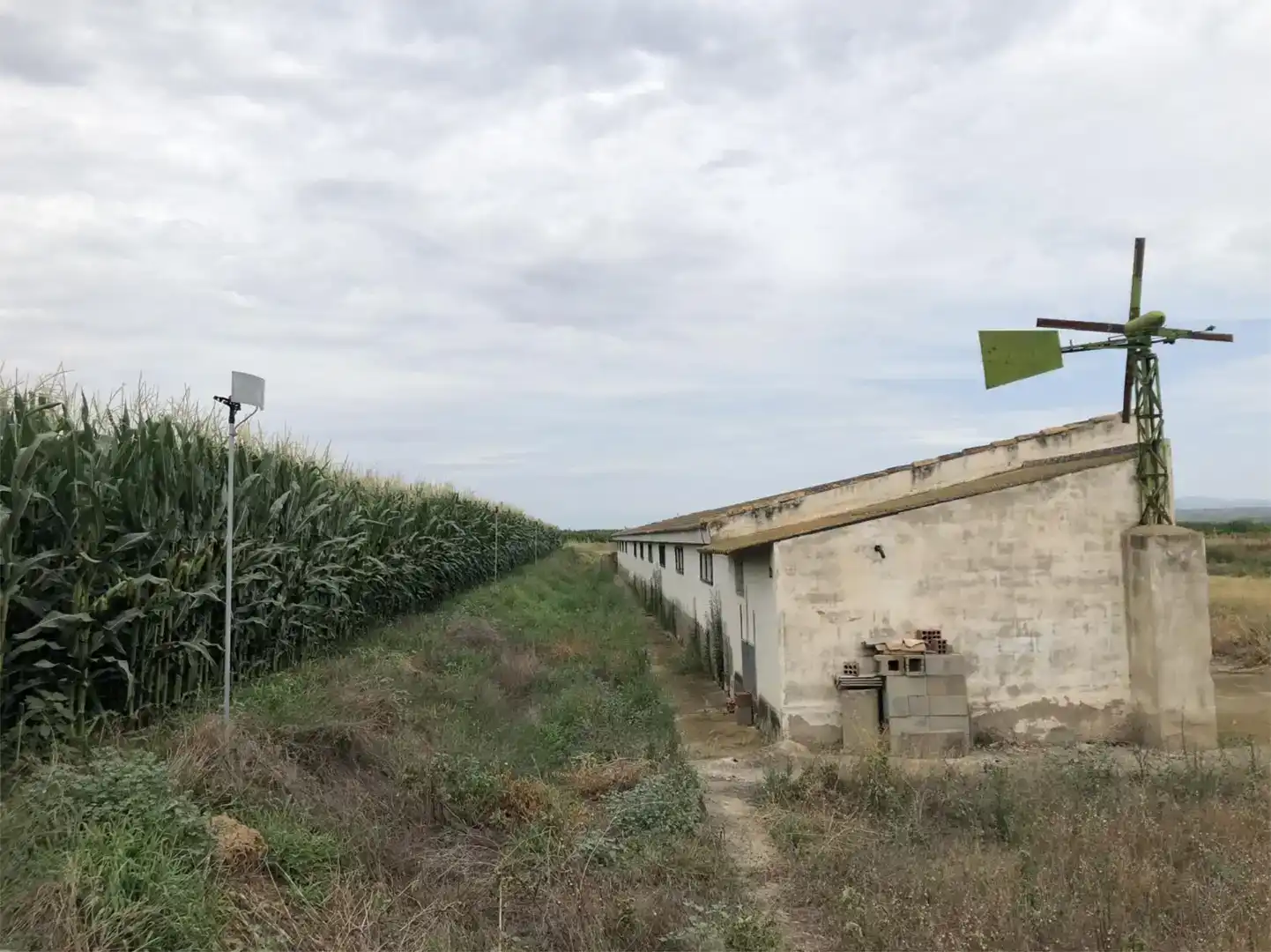 Vista exterior de Pis en venda en San Miguel del Cinca