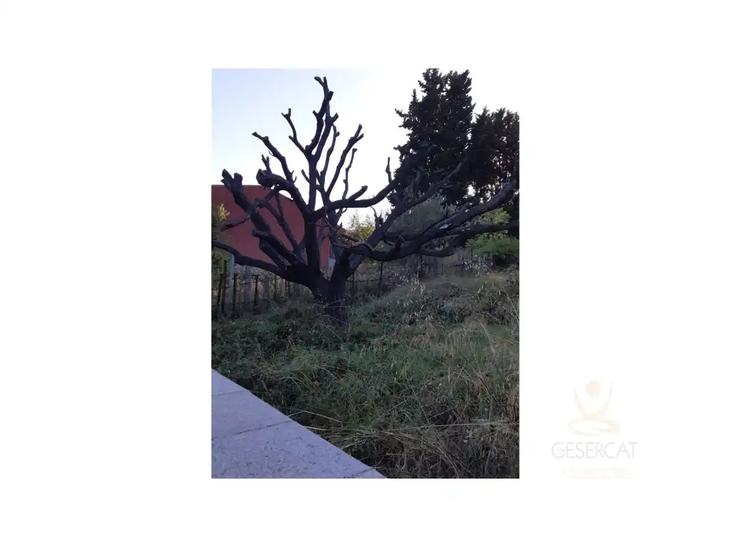 Terreno residenziale in vendita a Calle Lleo, imagen 3