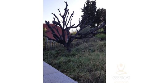 Terreno Venta Rubí, immagine 3