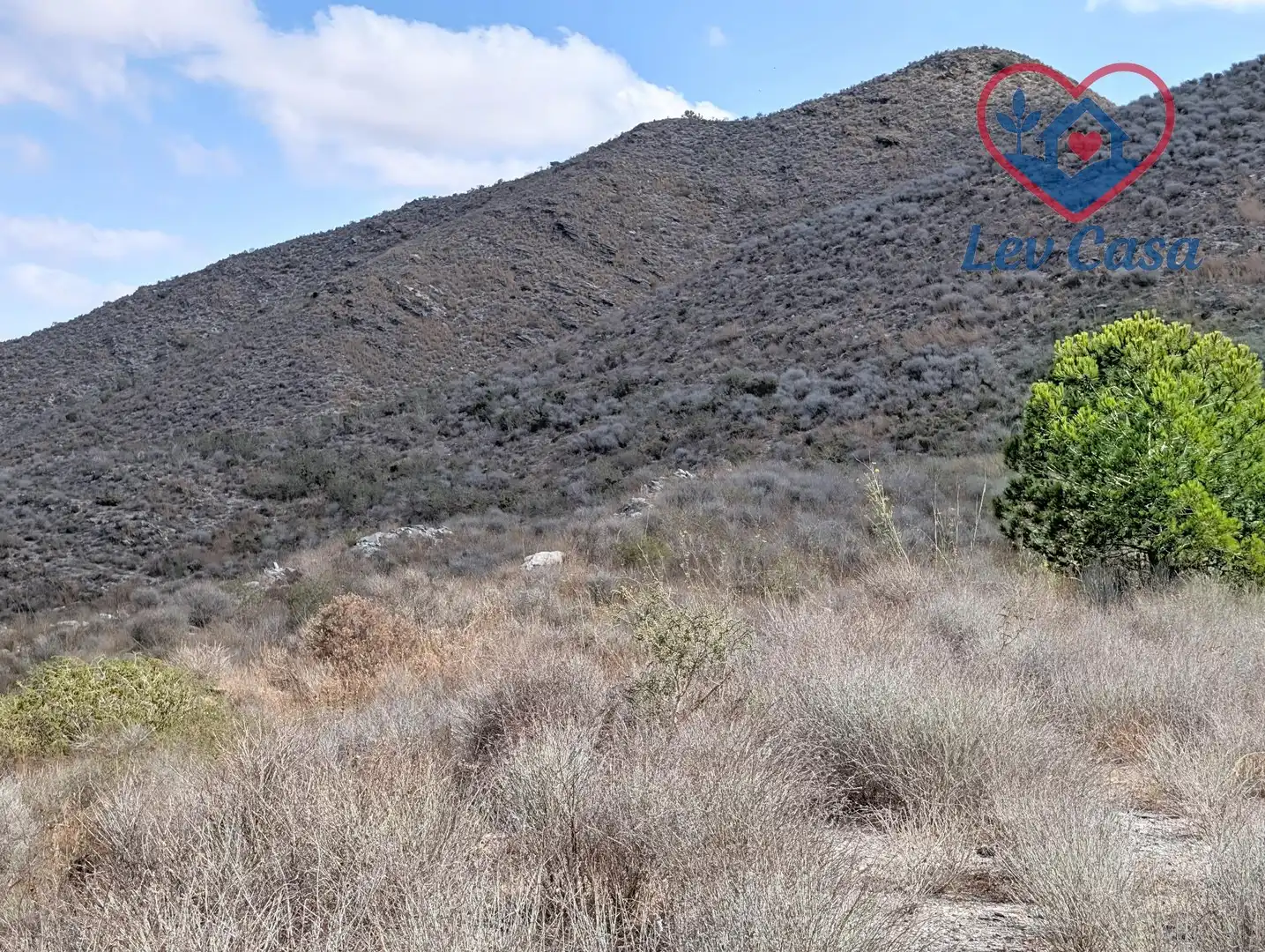 Terreno rustico in vendita a Playa del Galán, imagen 29