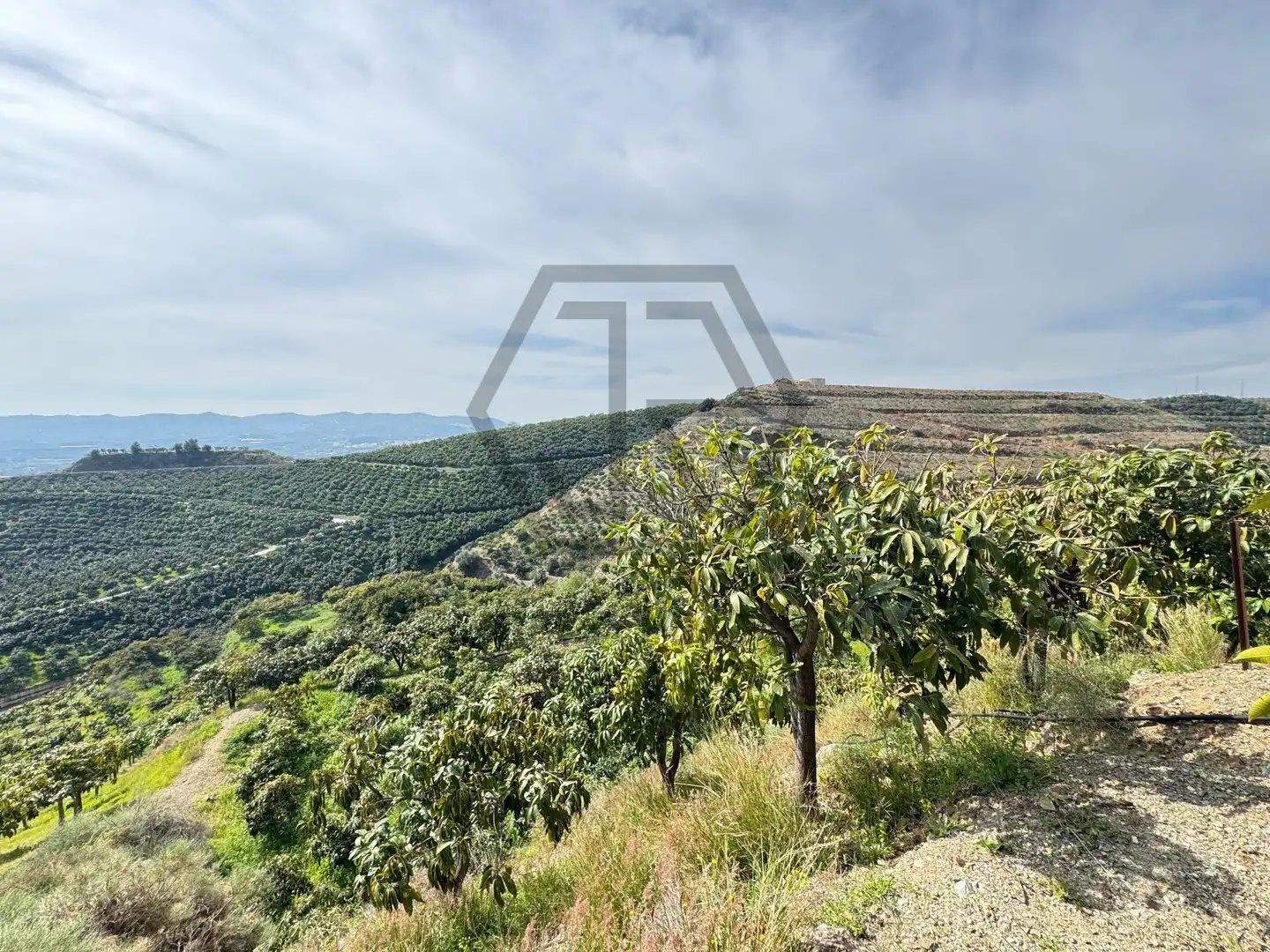 Rustikales Grundstück zum Verkauf in Atalaya Baja, imagen 4
