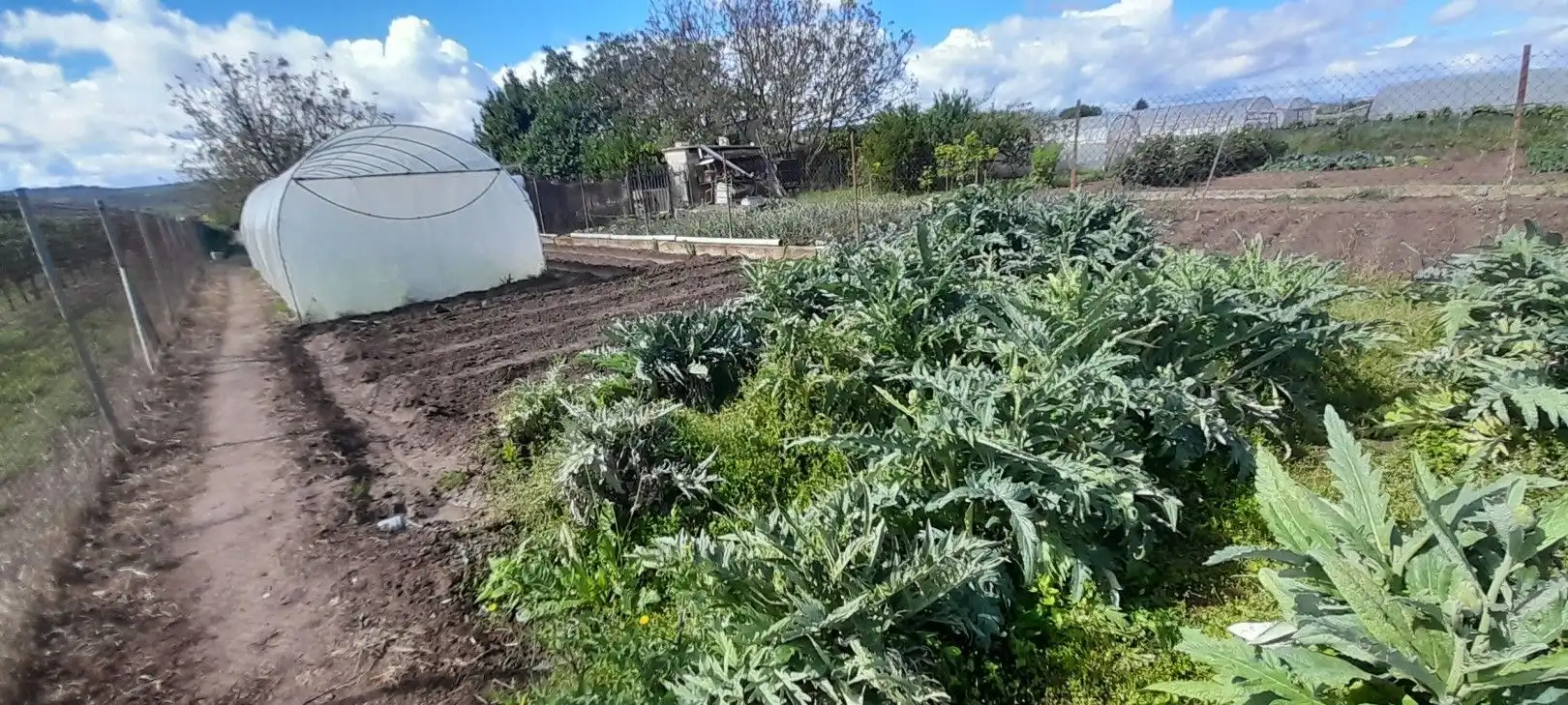Terreni e lotti in vendita a La Portalada - Varea, imagen 20