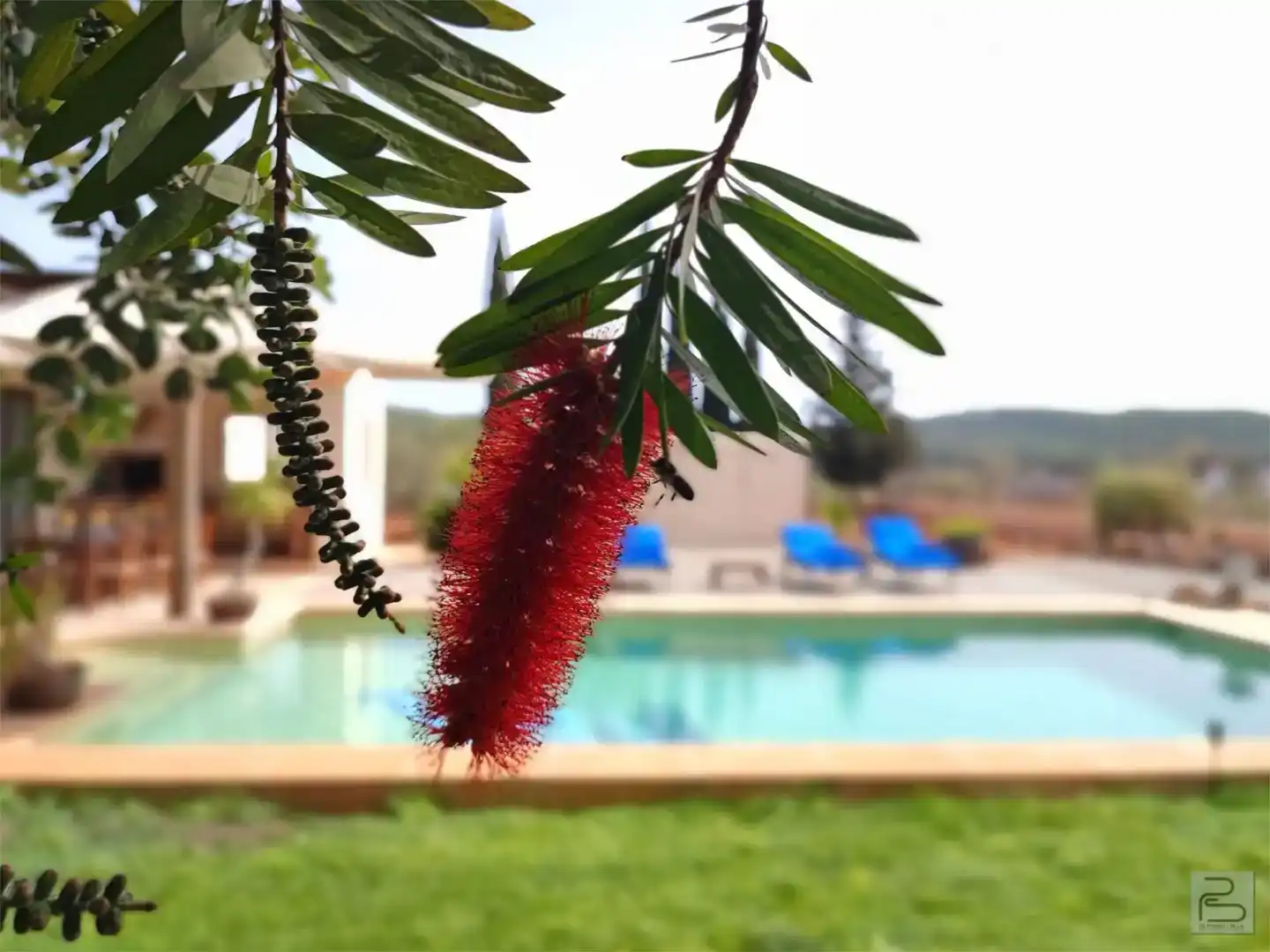 Piscina de Casa o chalet en venta en Sant Joan de Labritja con Aire acondicionado y Piscina