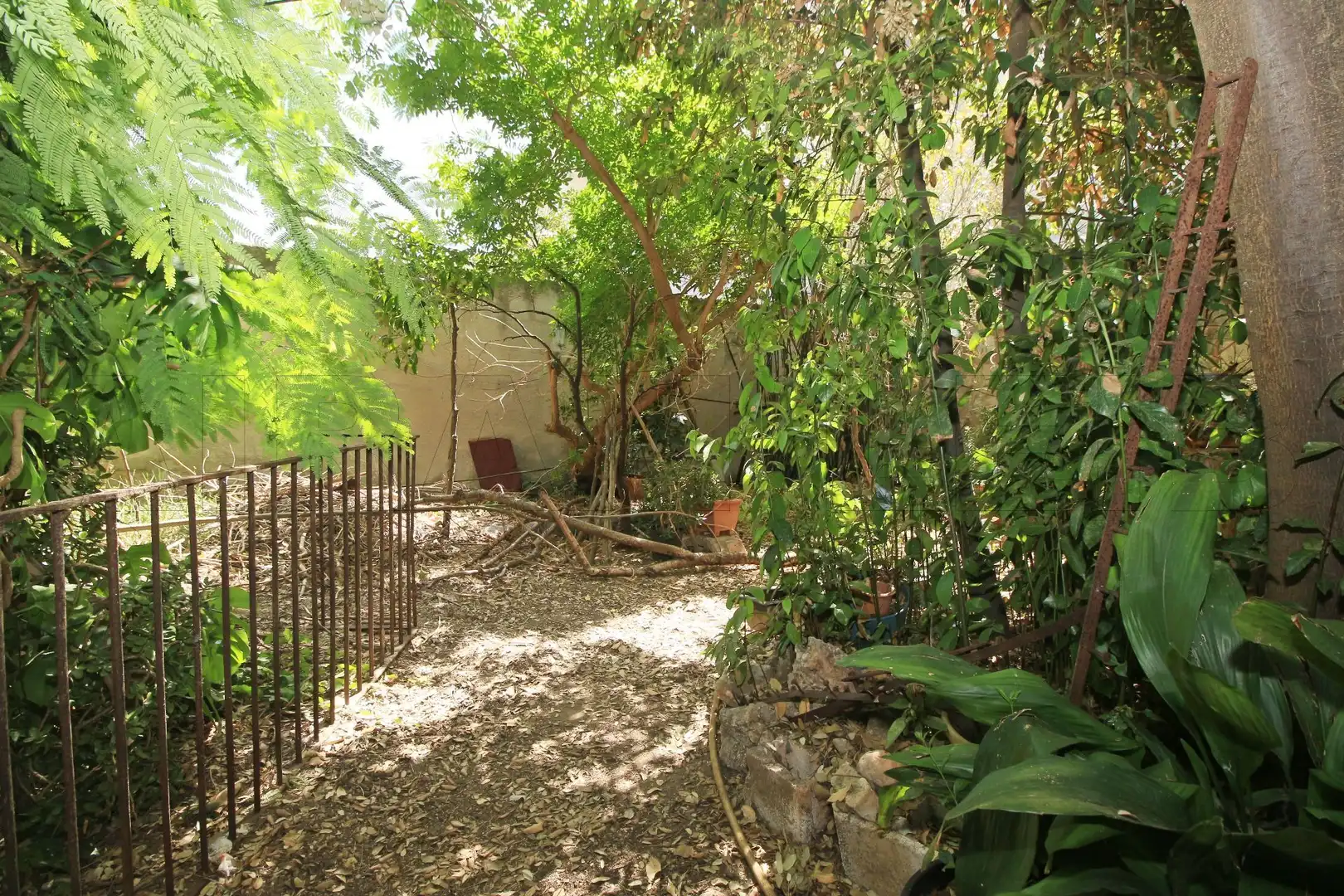 Jardí de Casa o xalet en venda en Sa Pobla amb Jardí privat