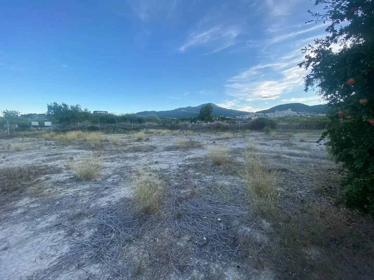 Terreno residenziale in vendita a Moratalla, imagen 27
