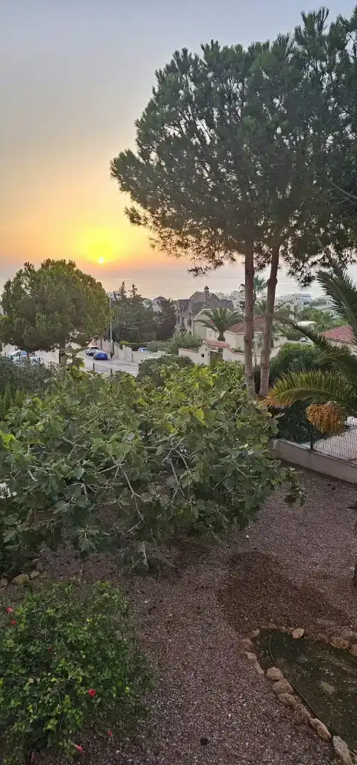 Exterior view of Flat for rent in Nueva Torrevieja - Aguas Nuevas