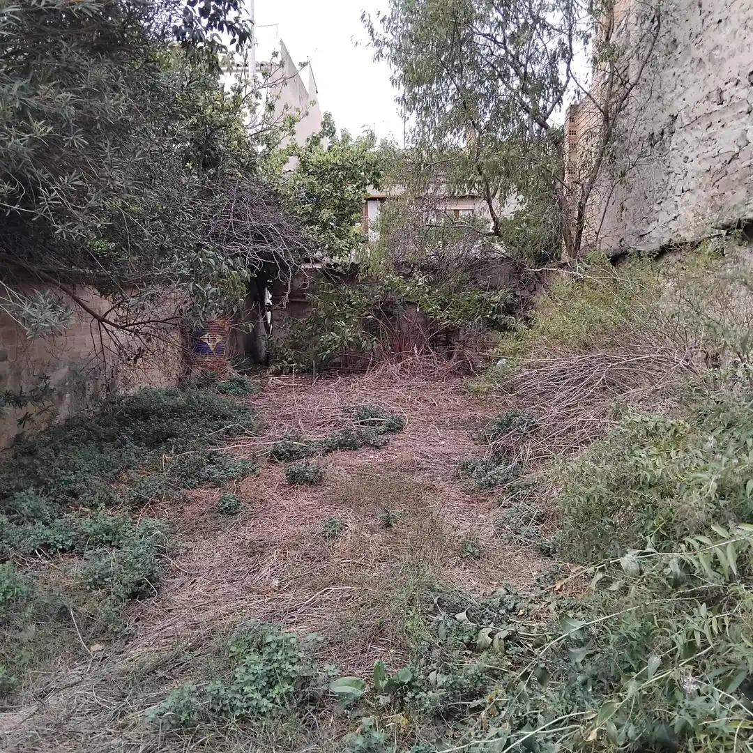 Haus mit Garten zum Verkauf in Tàrrega, imagen 4