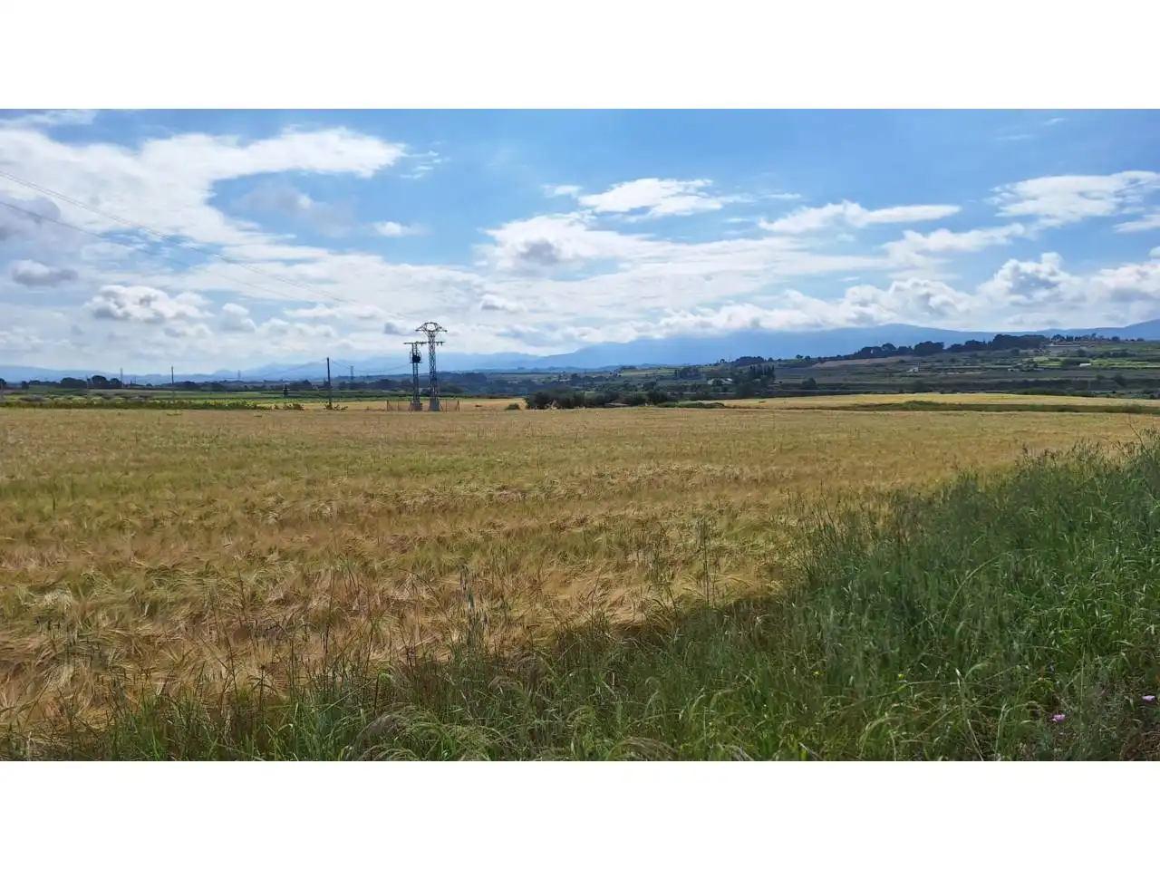 Terreny rústic en venda a Galim, imagen 4