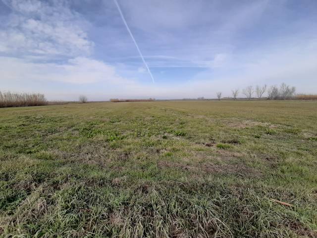 Terreno en Venta en N/A, -1 en Bellvís