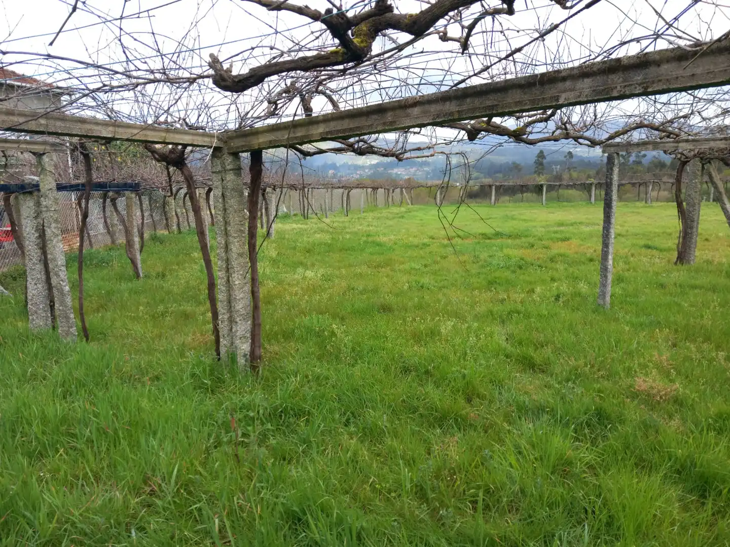 Wohnbaugrundstück zum Verkauf in Praza de Galicia 1, imagen 3