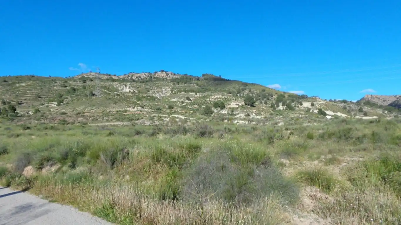 Terreno rustico in vendita a Partida CARREFOUR - FIGUERALET, imagen 4