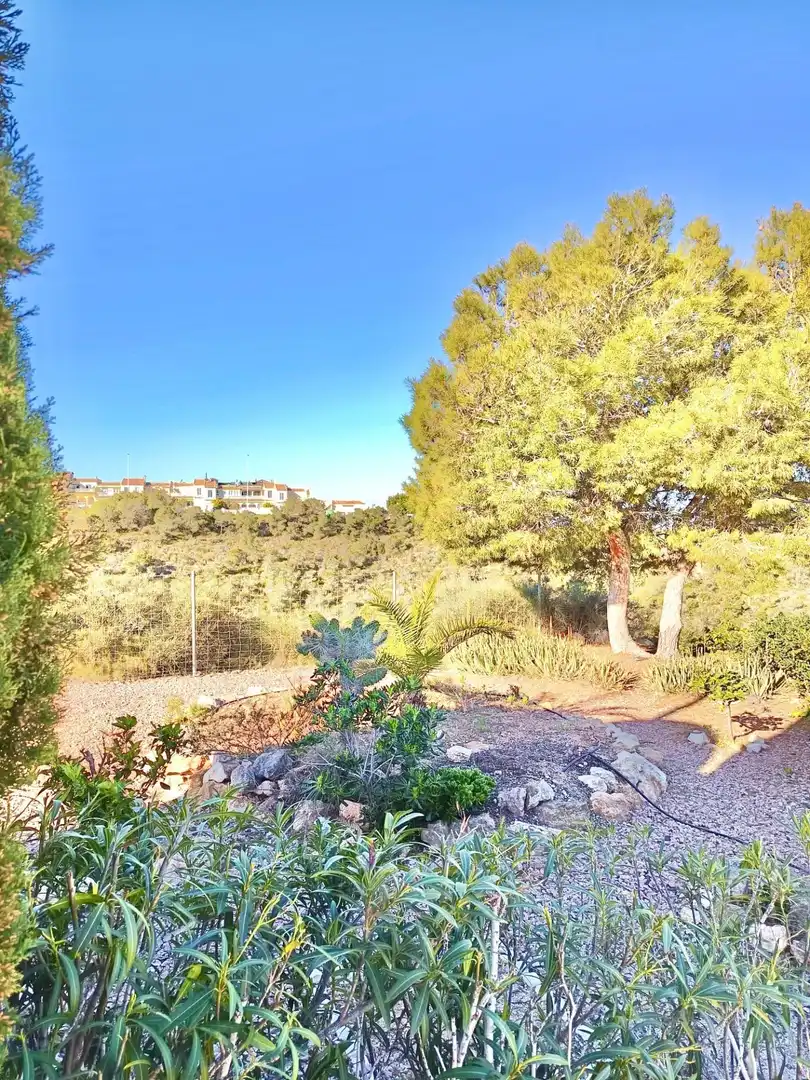 Jardí de Casa adosada en venda en Santa Pola amb Jardí privat i Piscina comunitària