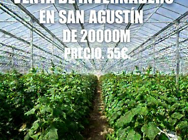 Terreno rustico in vendita a Calle Melilla 25