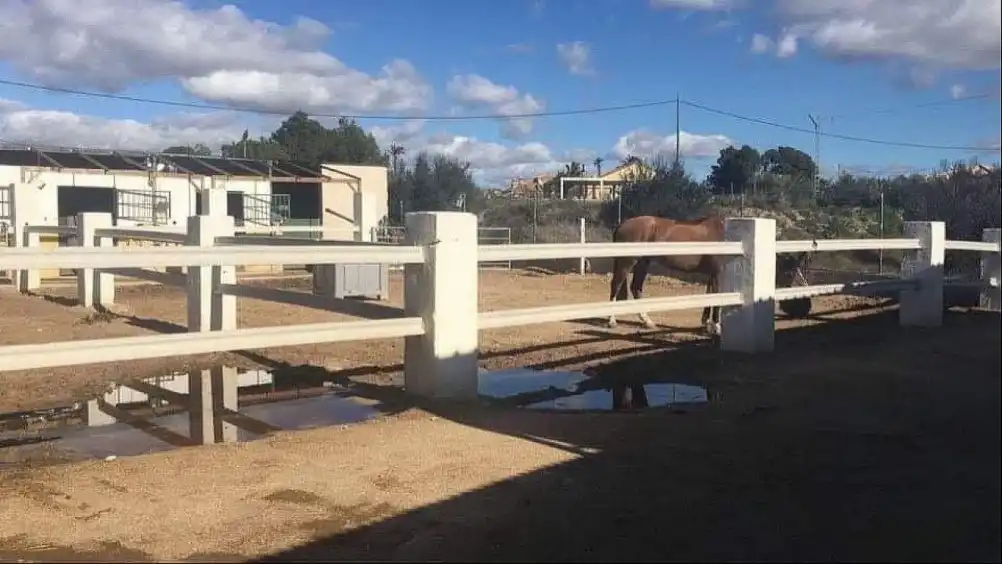 Vista exterior de Piso en venta en Fortuna