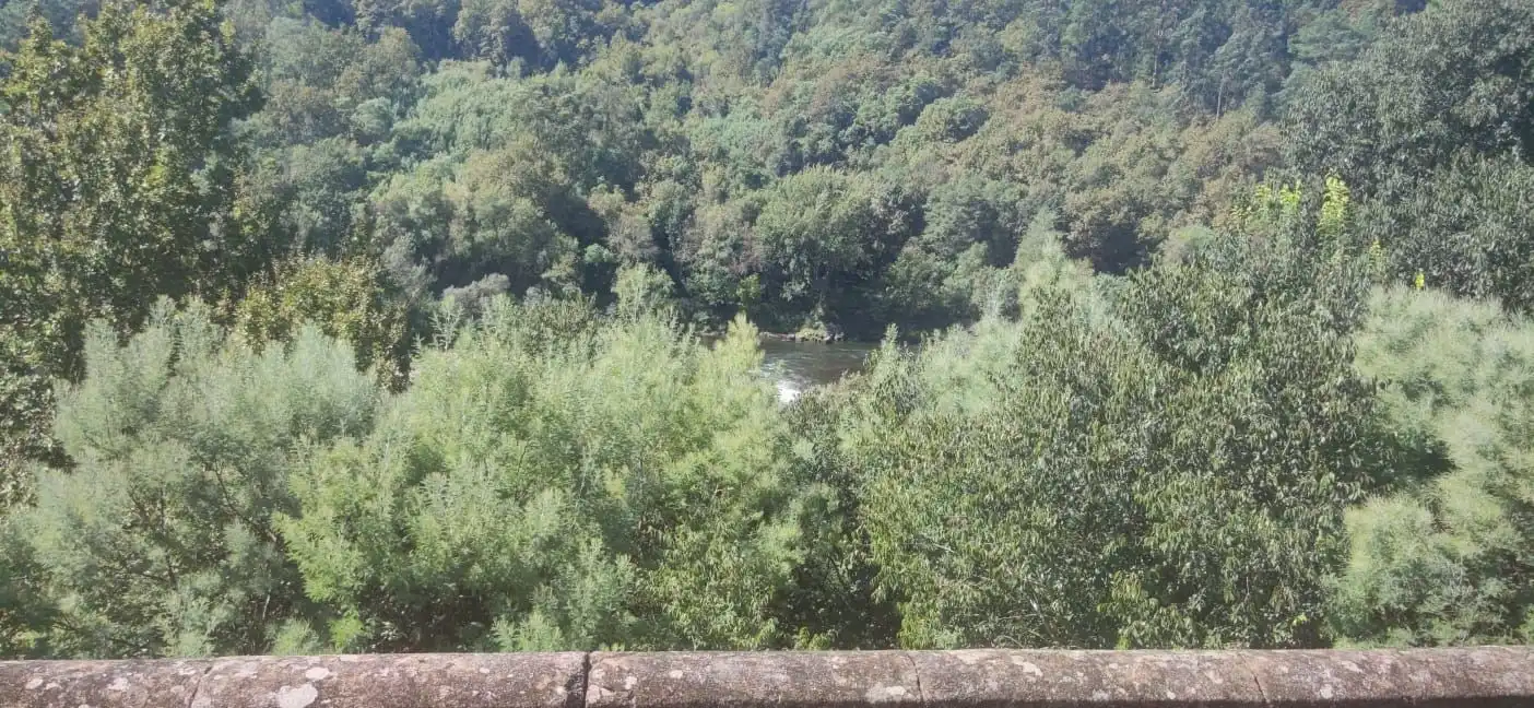 Jardí de Casa o xalet en venda en Crecente amb Jardí privat i Moblat