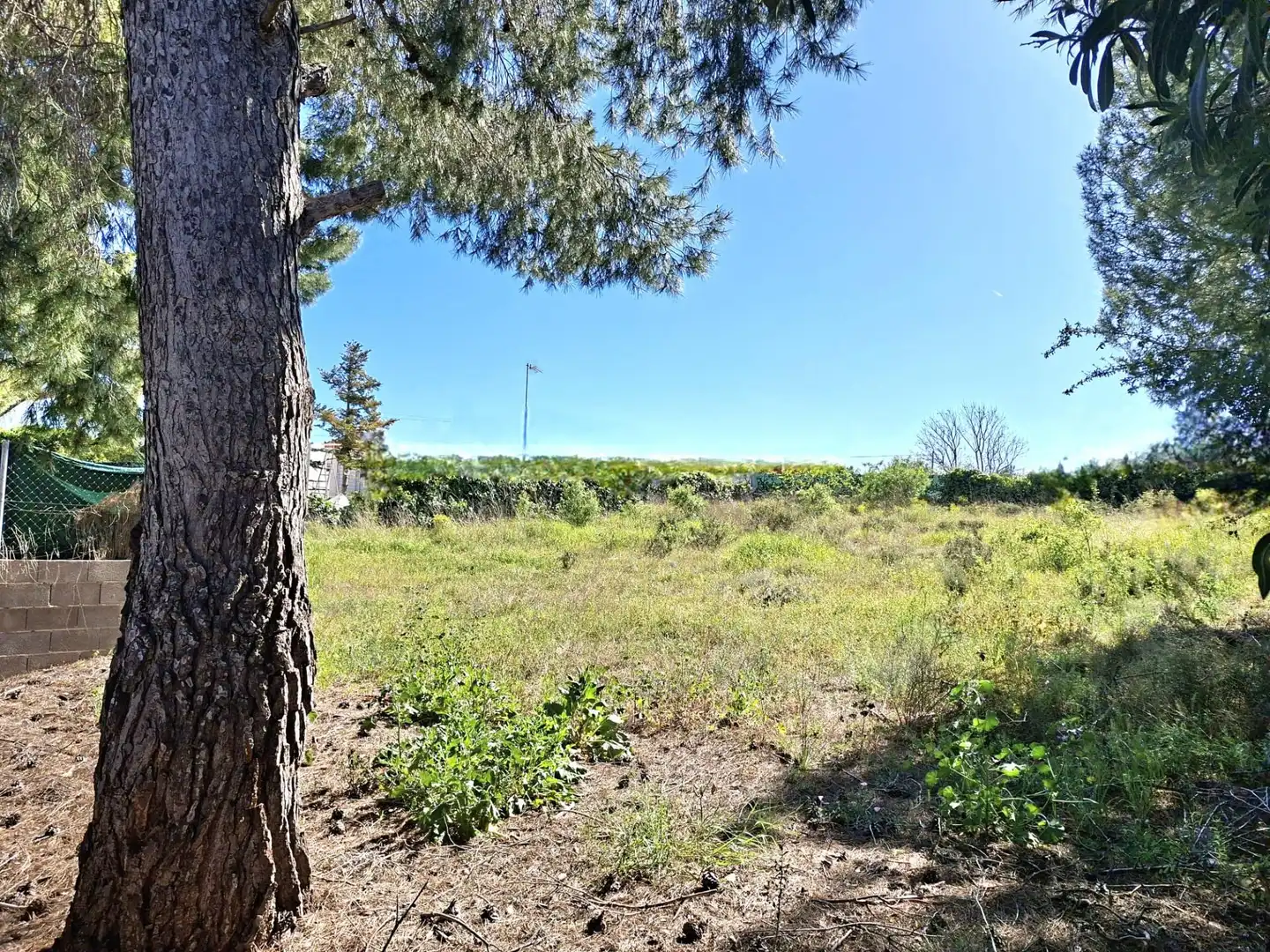 Terreno rustico in vendita a La Conarda - Montesano