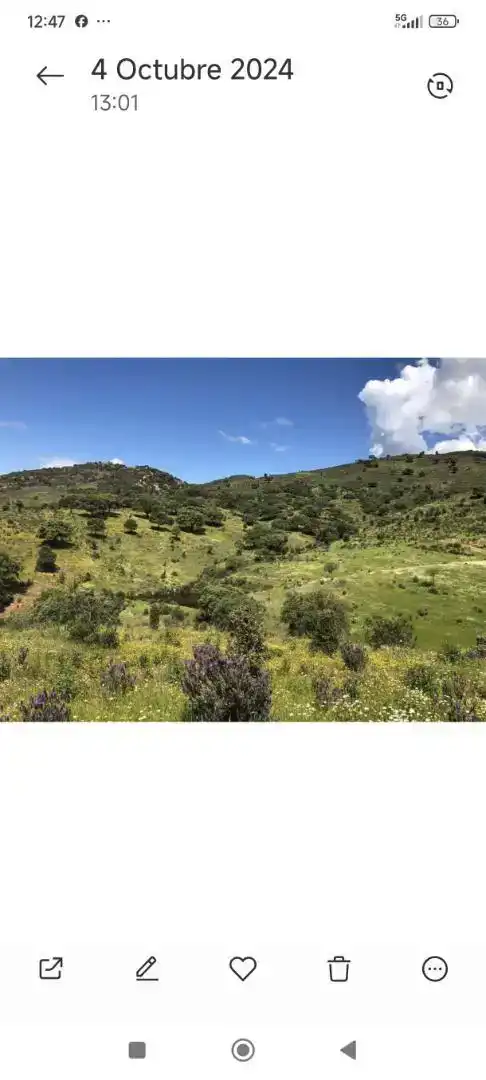 Piso en venta en Zufre