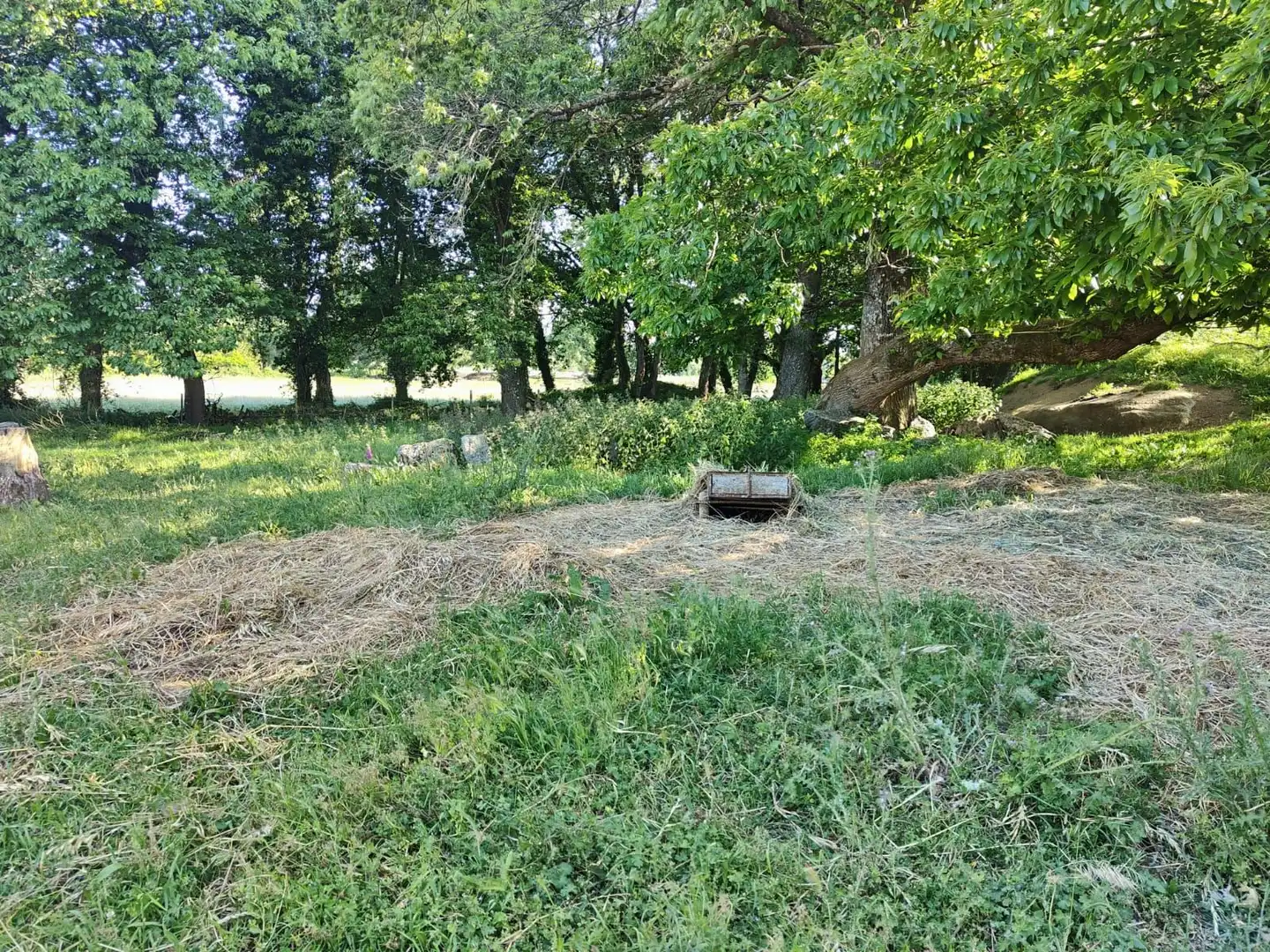 Casa o chalet en venta en Lugo