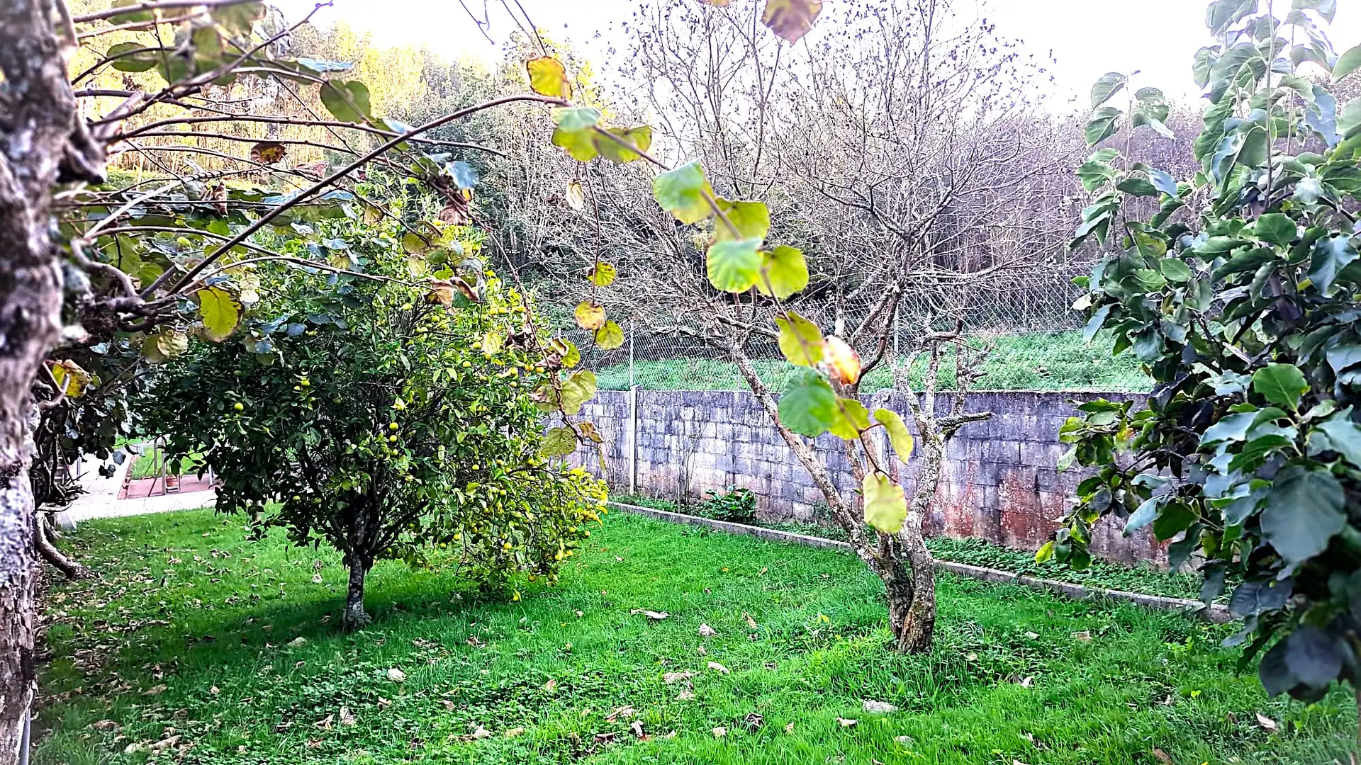 Garden of Houses for sale in Sada (A Coruña)  with Heating, Private garden and Terrace