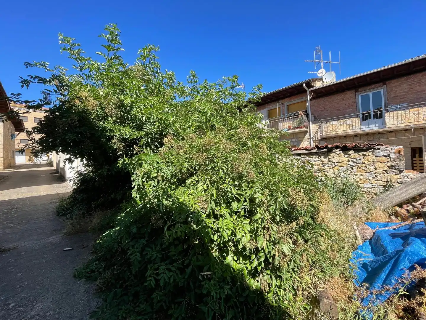 Finca rústica en venda en San Leonardo de Yagüe amb Traster