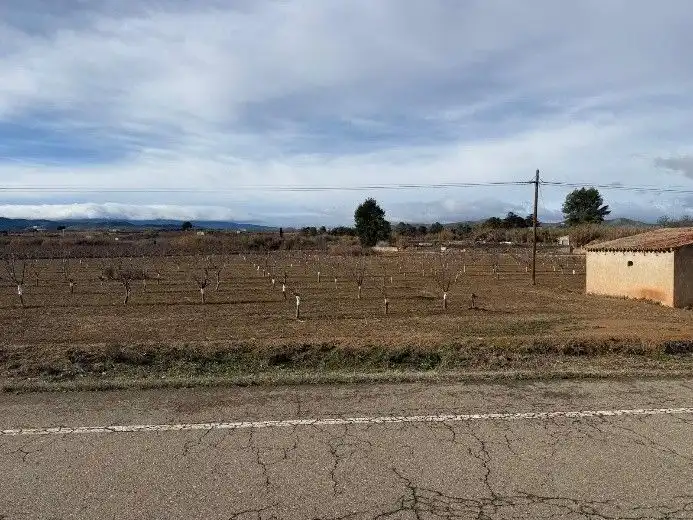 Terreni e lotti in vendita a A121, imagen 2