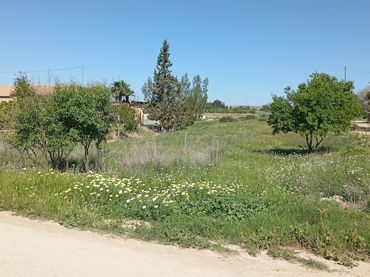 Terreno rustico in vendita a Poligono 74, Parcela 209
