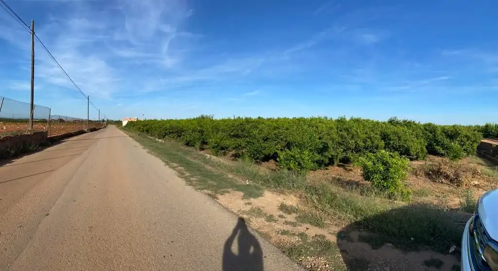 Land for sale in Diseminado Poligon 26, Picassent
