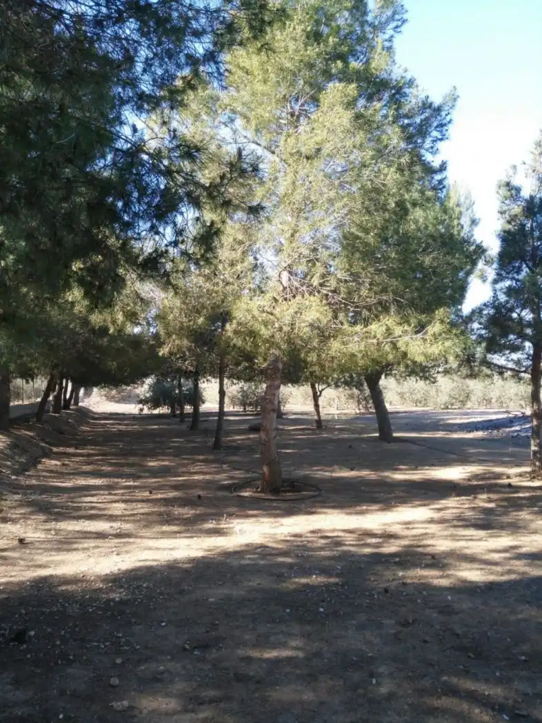 Country homes for sale in Lorca  with Air Conditioner, Heating and Private garden