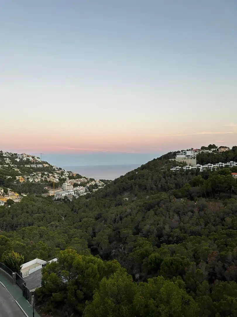 Wohnungen zur Miete in Altea Hills