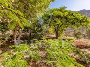 Exterior view of Houses for sale in Playa del Cura - Taurito