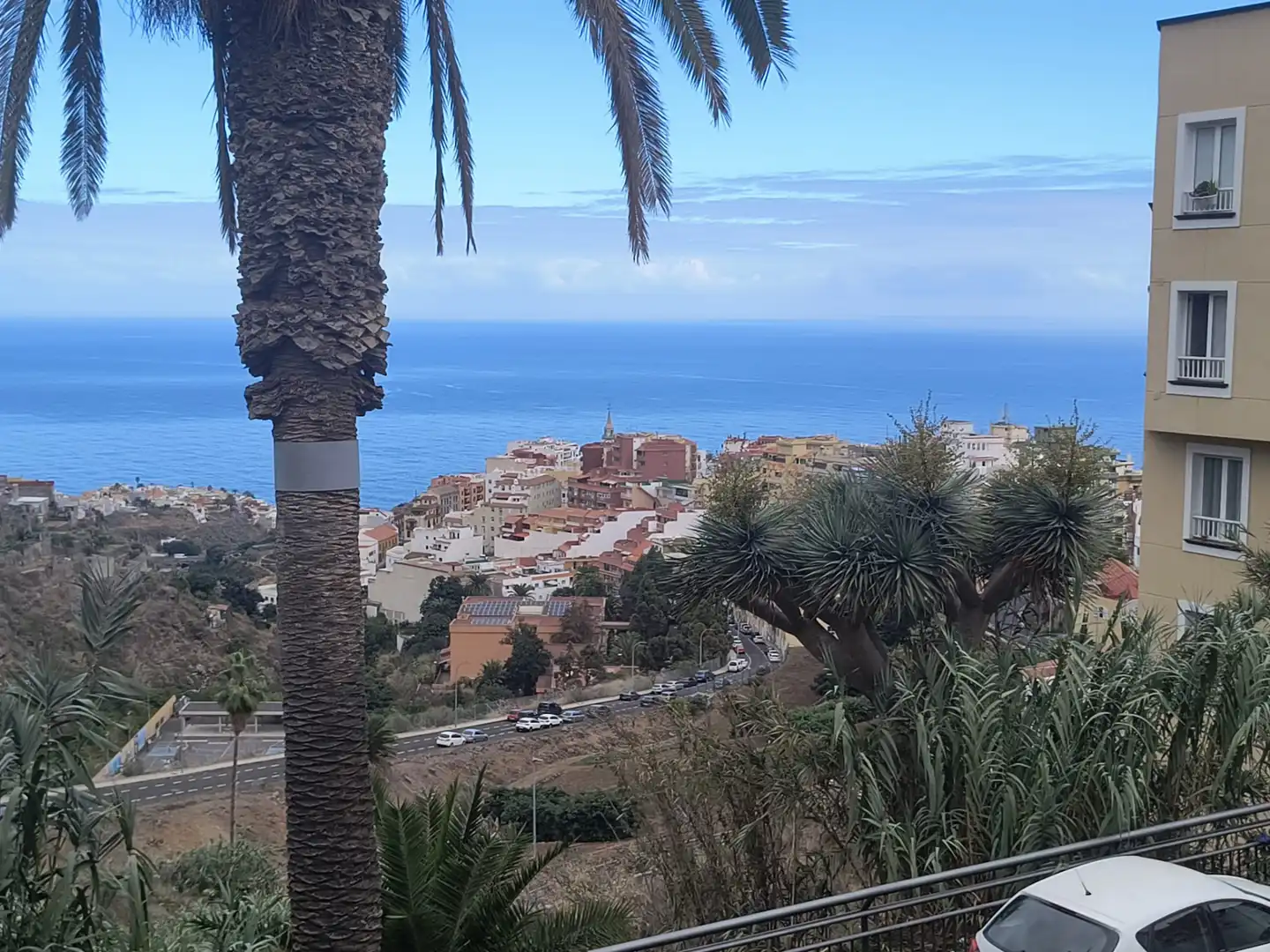 Vista exterior de Casa o chalet en venta en Los Realejos con Jardín privado, Terraza y Amueblado