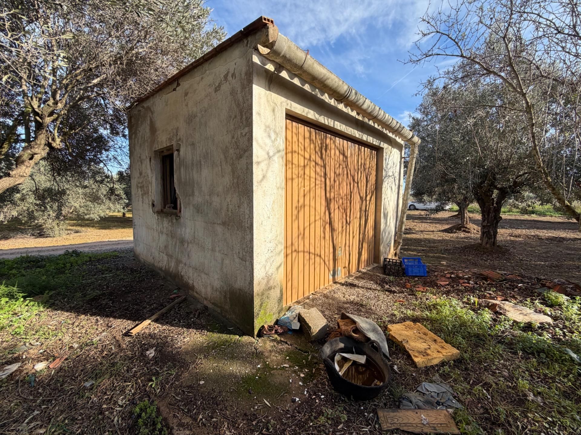Vista exterior de Casa o xalet en venda en Llíria