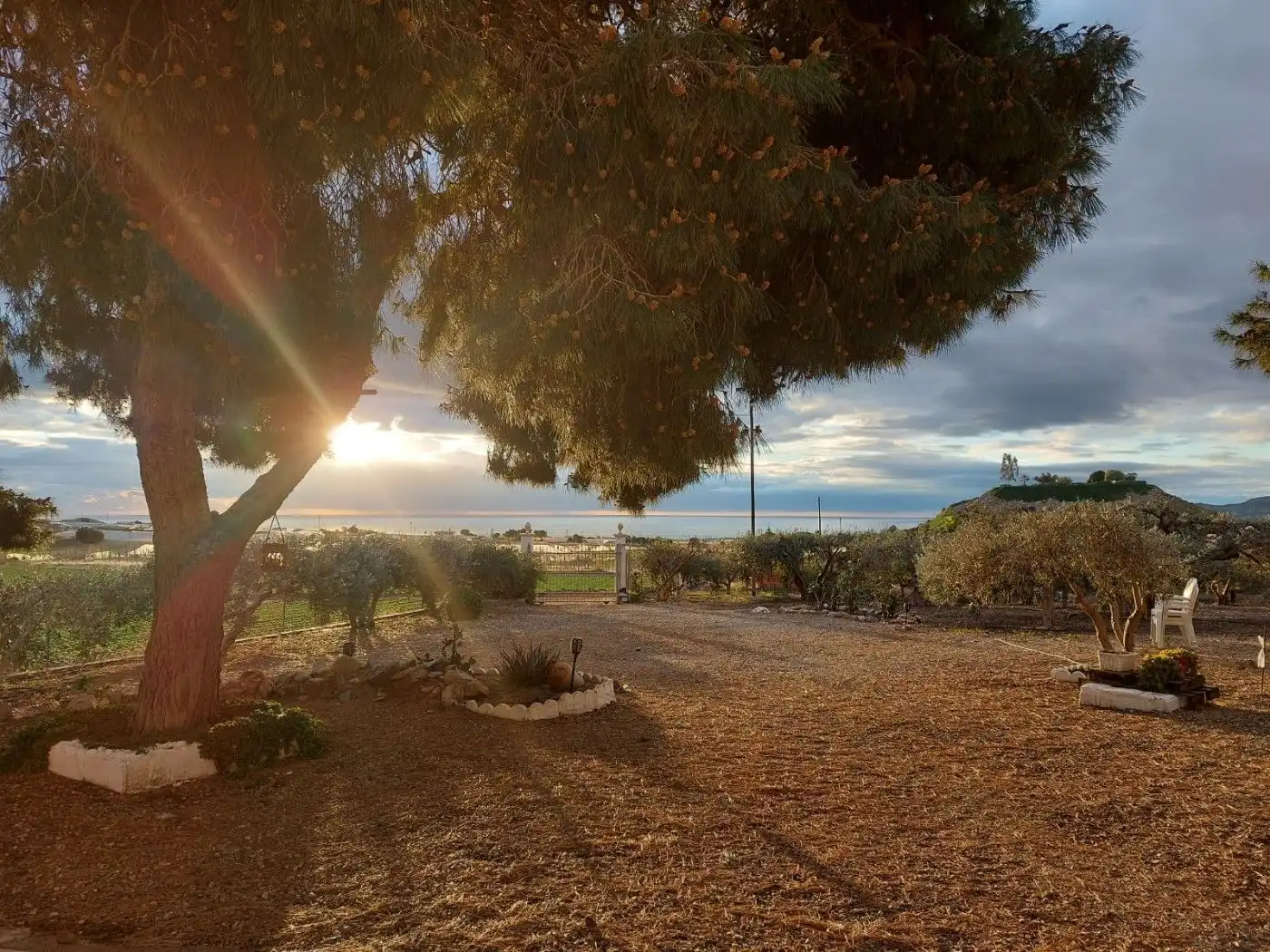 Haus oder Chalet zum Verkauf in Paraje Cuesta de Gos, 38, Tébar - Los Arejos