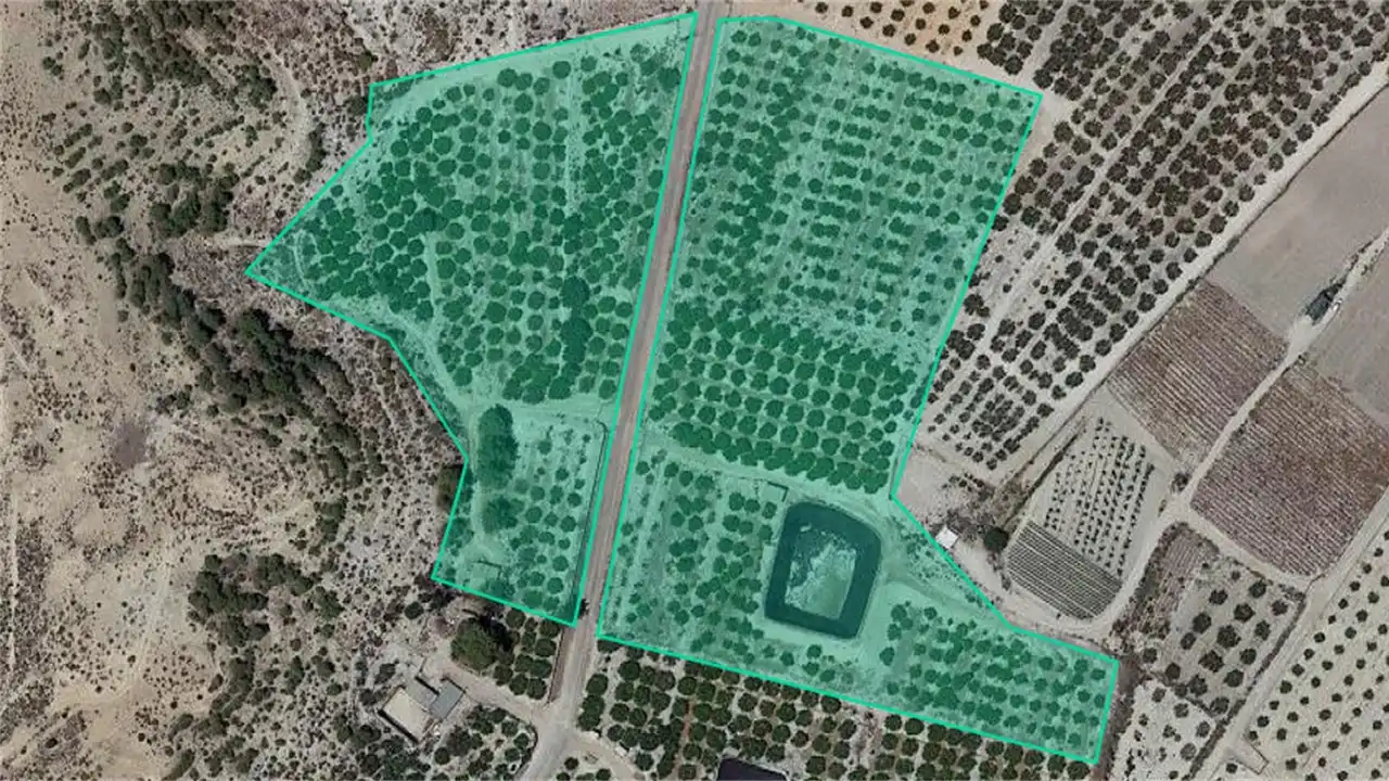 Lands and plots for sale in Paraje del Tale