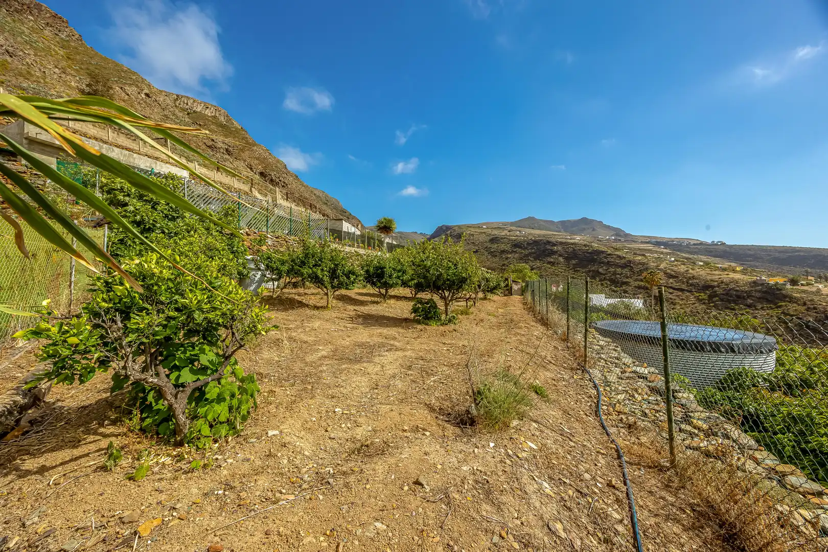 Casa o xalet en venda a Santa María de Guía de Gran Canaria