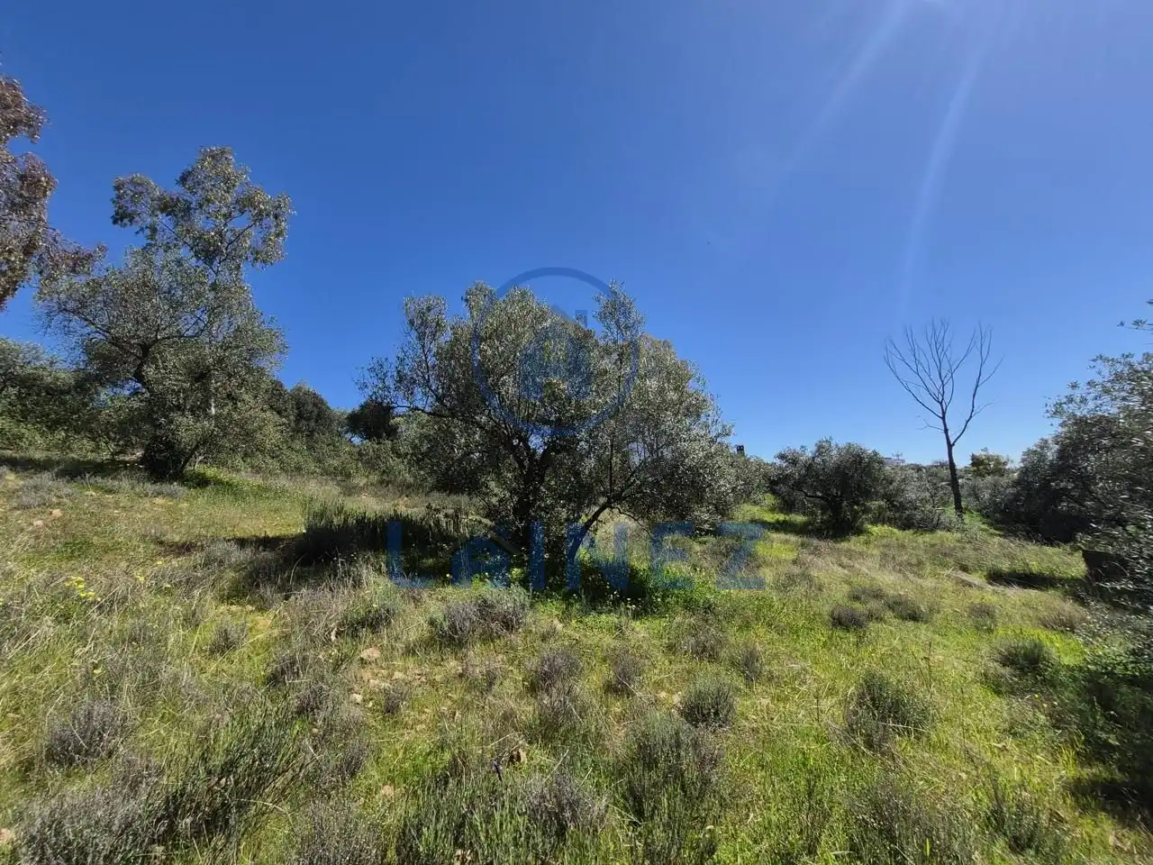 Grundstücke zum Verkauf in Peñarroya-Pueblonuevo