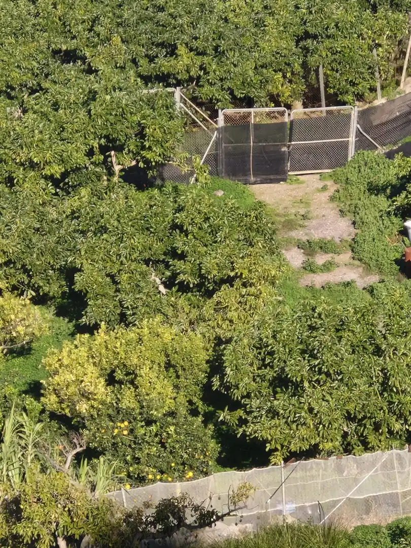 Finca rústica en venda en Motril amb Terrassa i Piscina